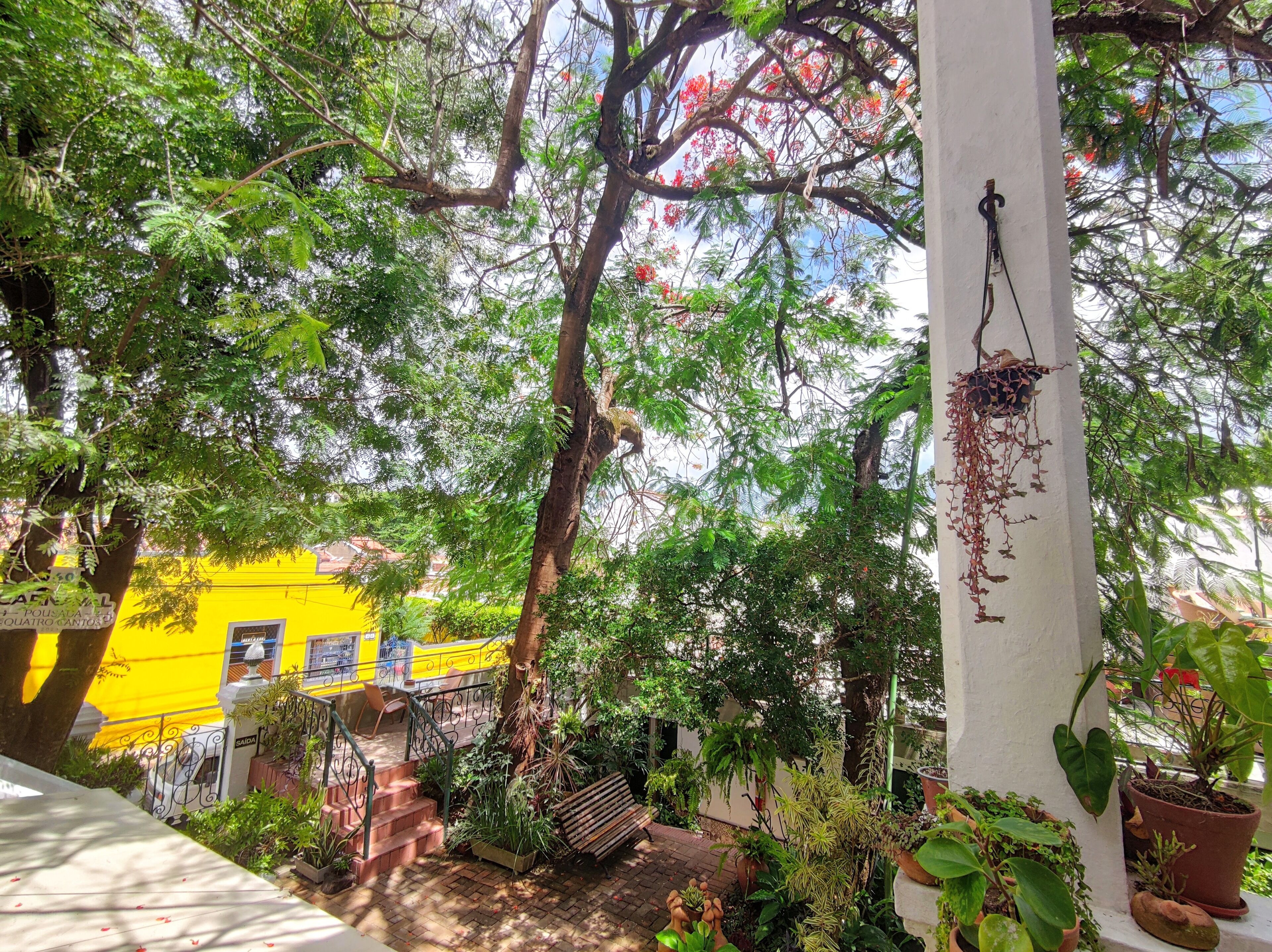 Un patio con un edificio amarillo, una escalera y diversas plantas en macetas.