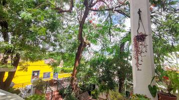 Un patio con un edificio amarillo, una escalera y diversas plantas en macetas.