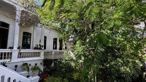 Un edificio blanco con balcón, rodeado de abundante vegetación y plantas en macetas.