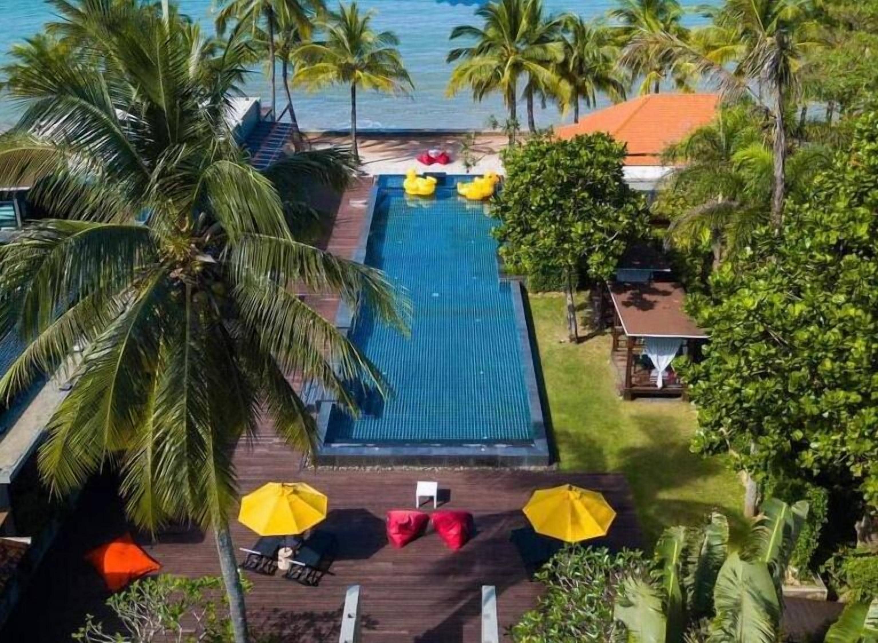 A rectangular swimming pool with a wooden deck, surrounded by palm trees and a view of the ocean.