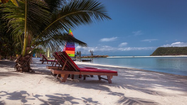 Una playa con sillas de madera y una palmera.
