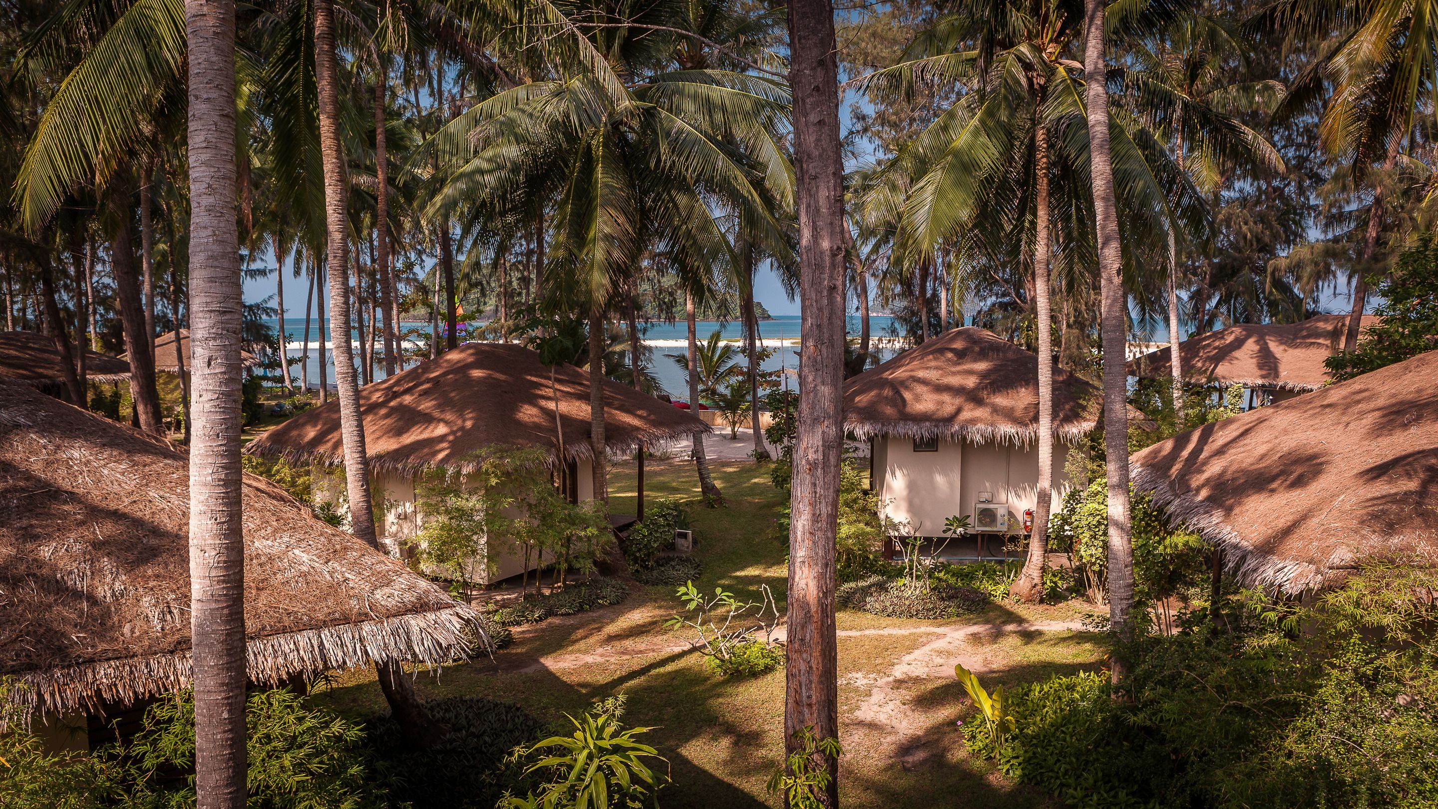 A tropical resort with thatched-roof huts, palm trees, and a view of the ocean.