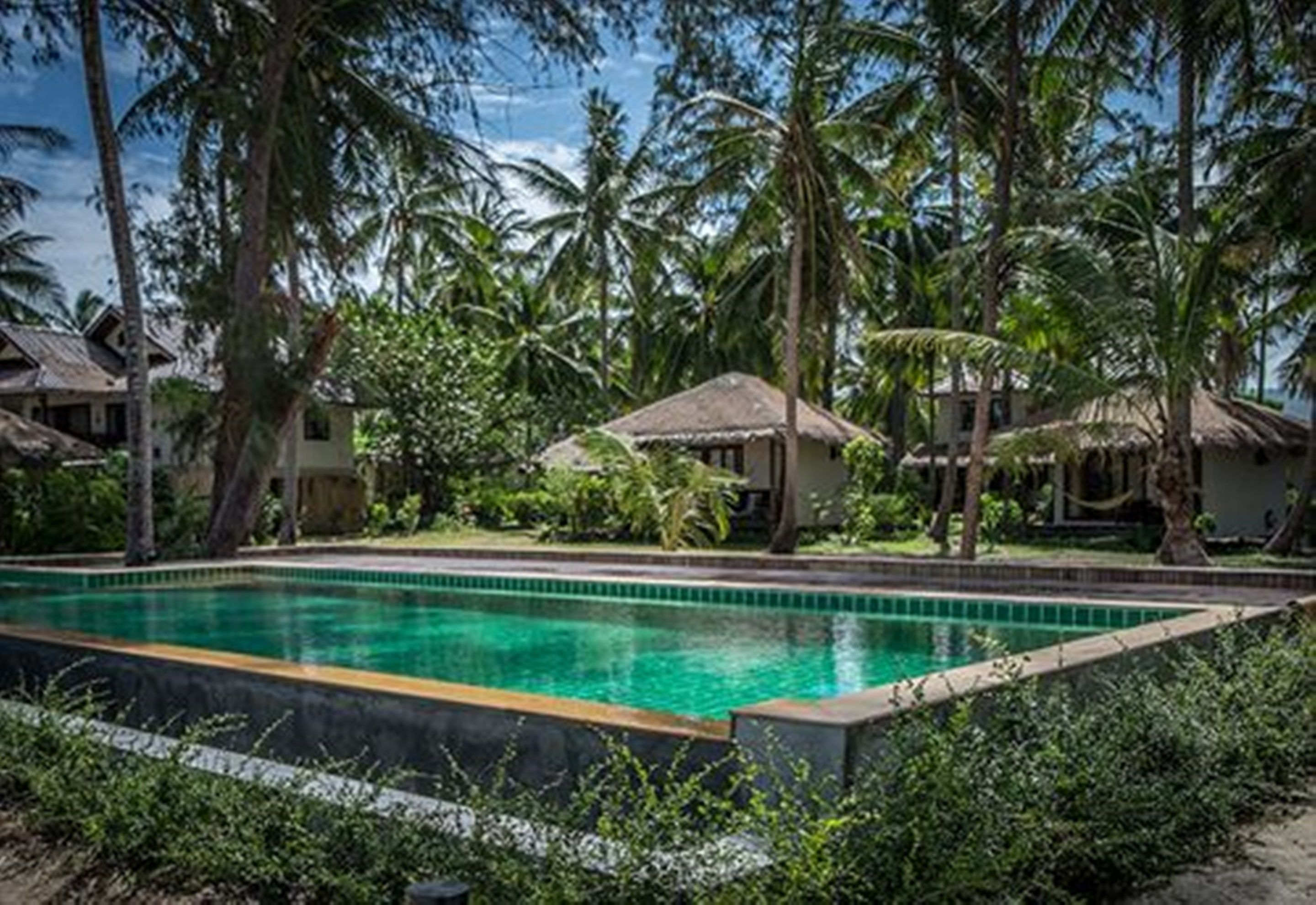 Una piscina rodeada de abundante vegetación y palmeras, con una estructura de techo de paja cerca.