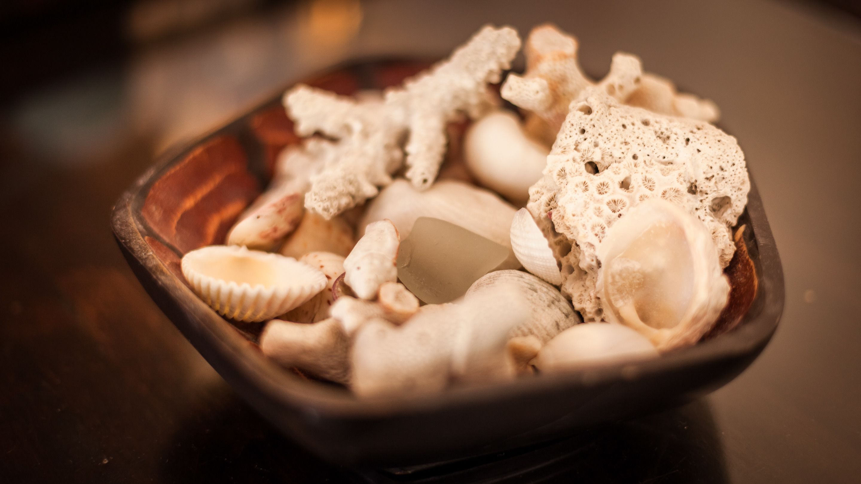 A bowl containing various types of mushrooms and a piece of tofu.