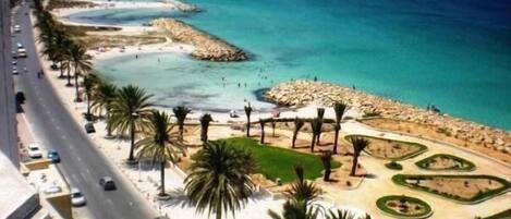 A coastal road with palm trees, a beach, and a clear blue sea.