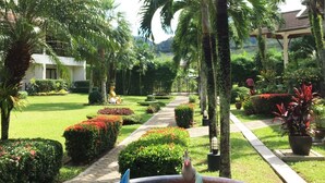 A garden pathway with palm trees and potted plants. - Serenity Lakeside Resort (Kathu)