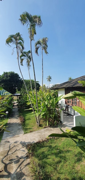 A pathway leading through a garden with tall palm trees and a building with a tiled roof.