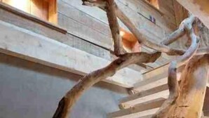 A wooden structure with branches and beams, possibly part of a room's decor or architectural feature. - Hôtel Green Ecolodge (Valdeblore)