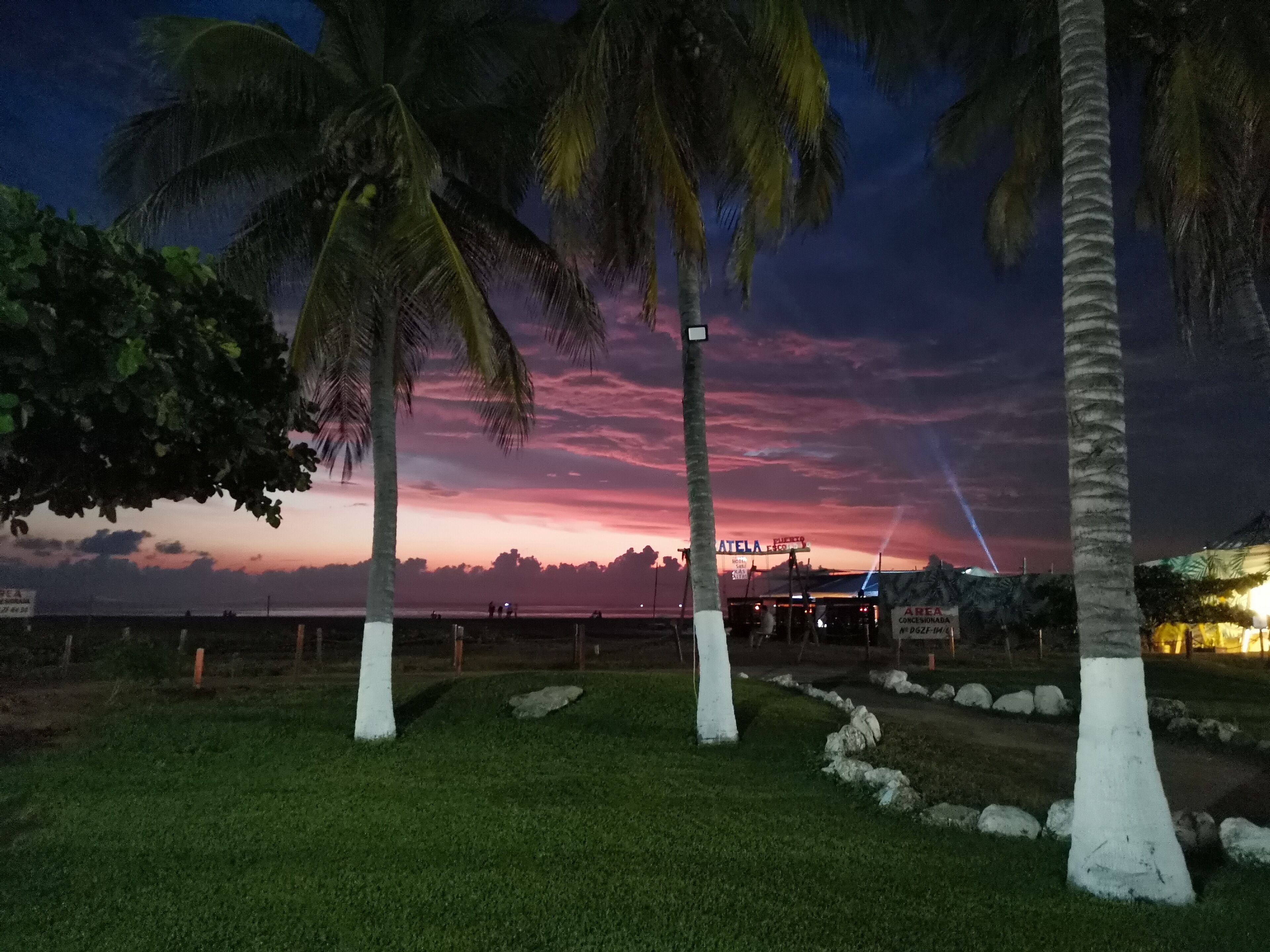 Foto - Surf Olas Altas