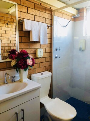 Shower, free toiletries, hair dryer, towels