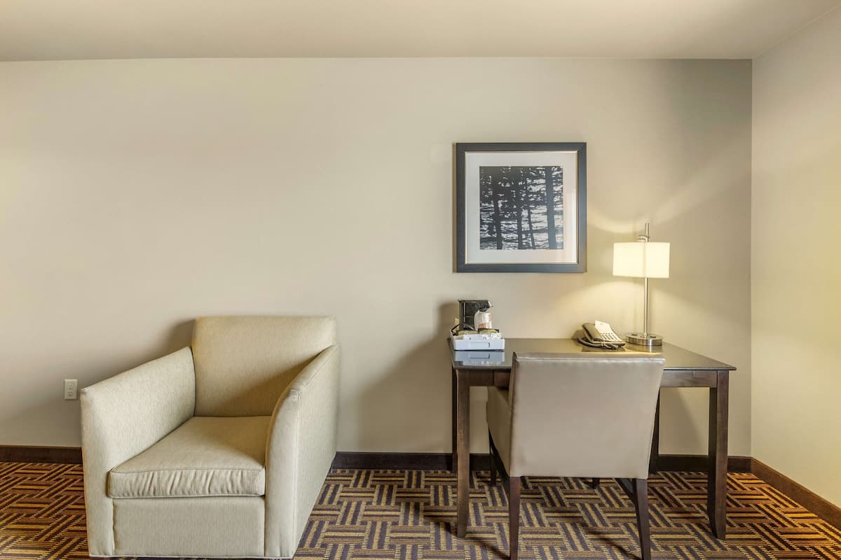 Une chambre d’hôtel avec un fauteuil beige, une petite table avec une lampe, un tableau encadré au mur et une moquette à motifs.