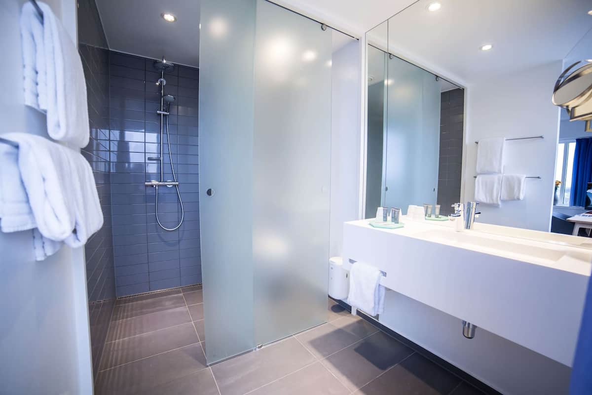 shower, eco-friendly toiletries, hair dryer, towels