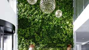 Een modern interieur met een groene verticale tuinwand, glazen leuningen en hangende ronde lampen.