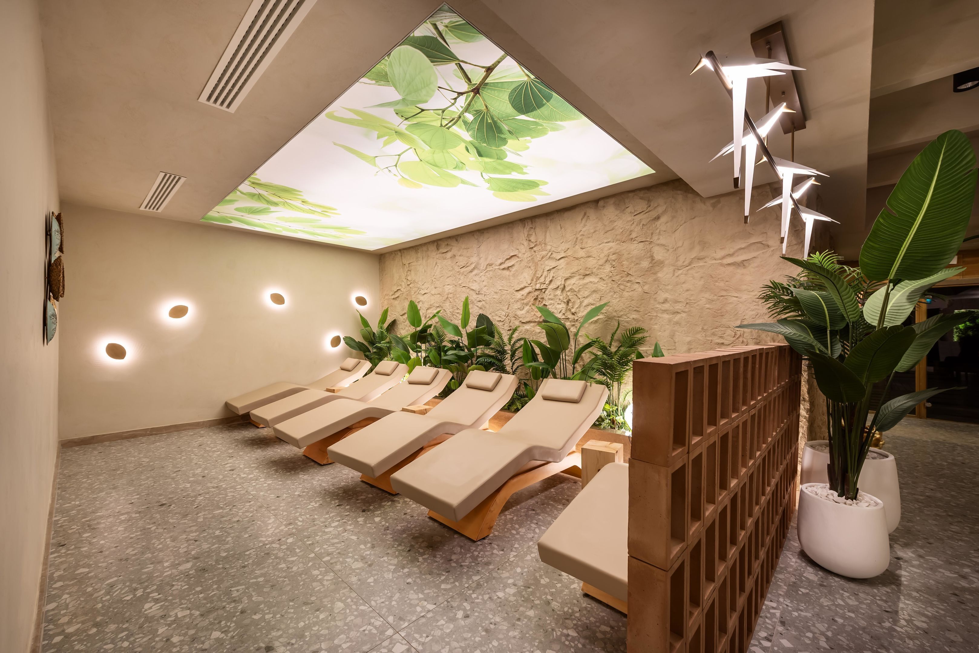Wellness