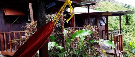 A wooden deck with a hammock, surrounded by lush tropical plants.