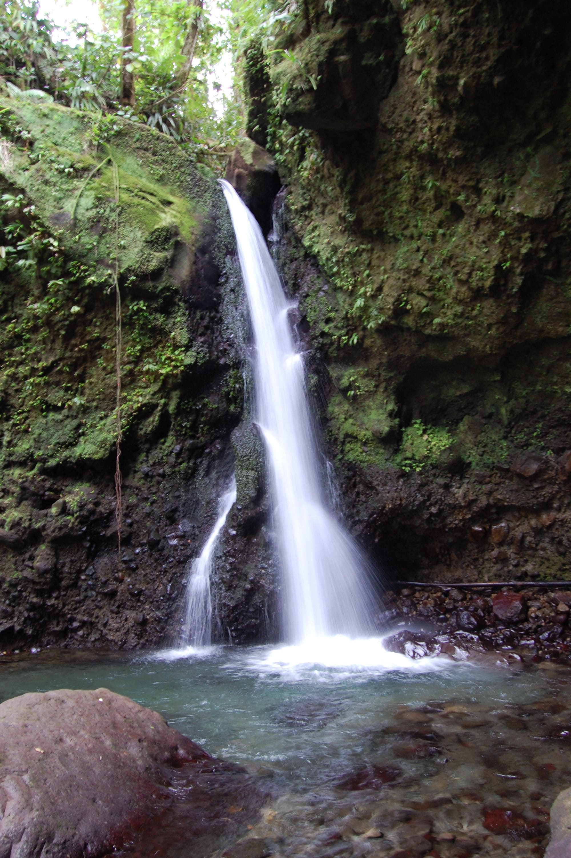 Foto - Hibiscus Valley Inn