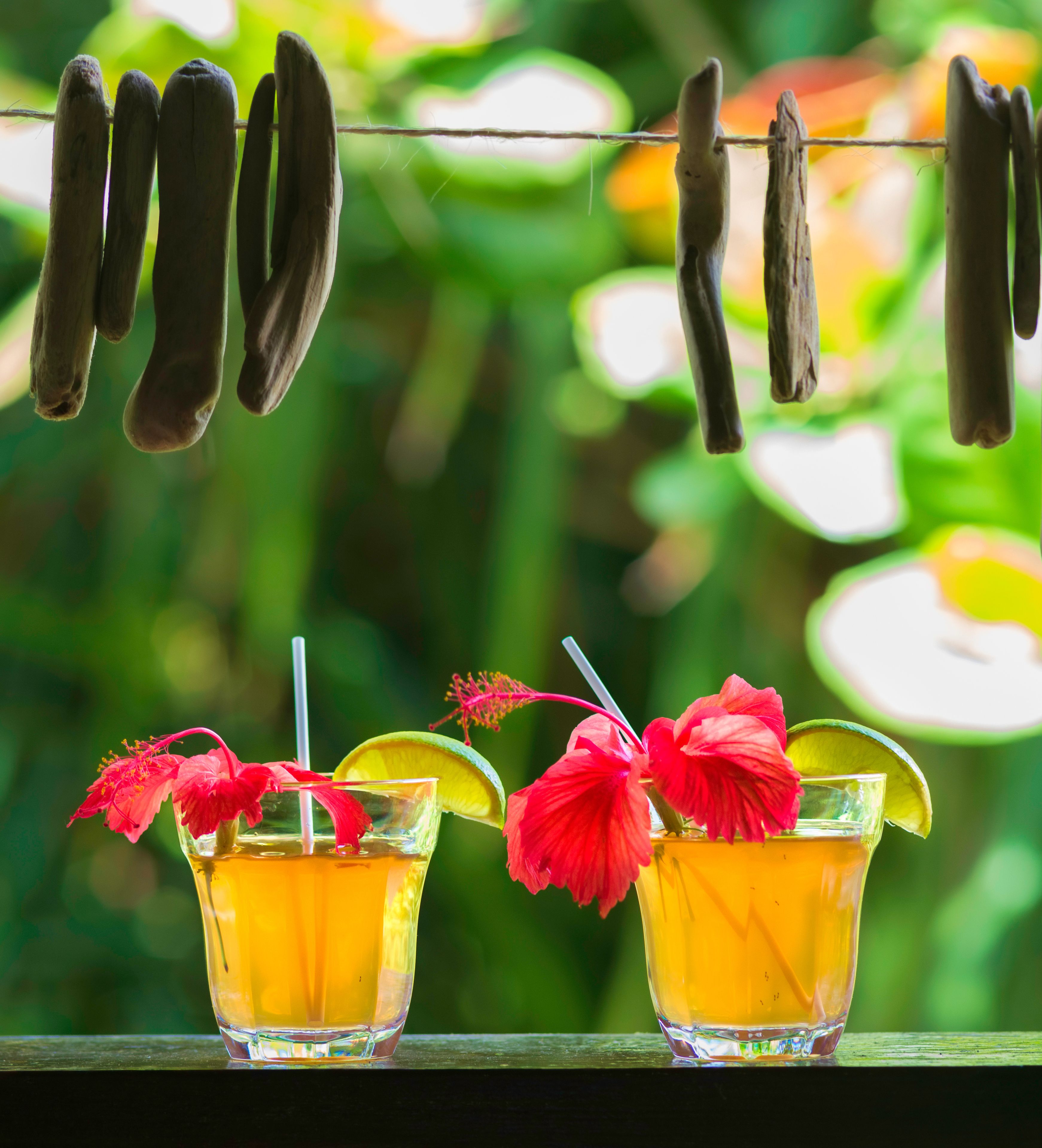 Foto - Hibiscus Valley Inn