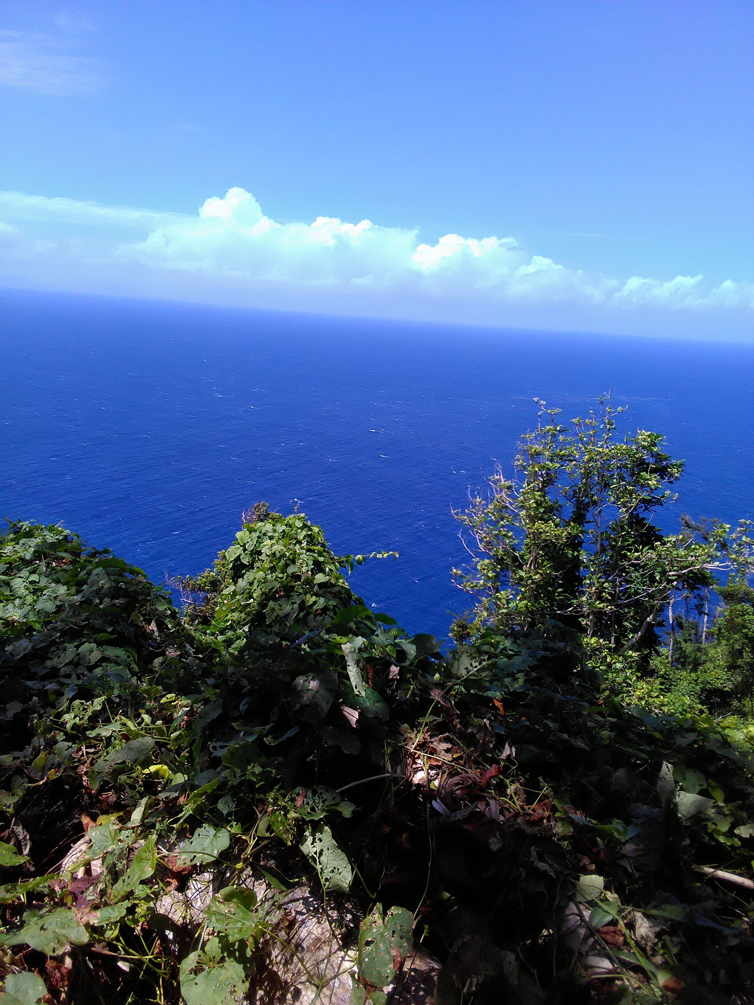 Foto - Hibiscus Valley Inn