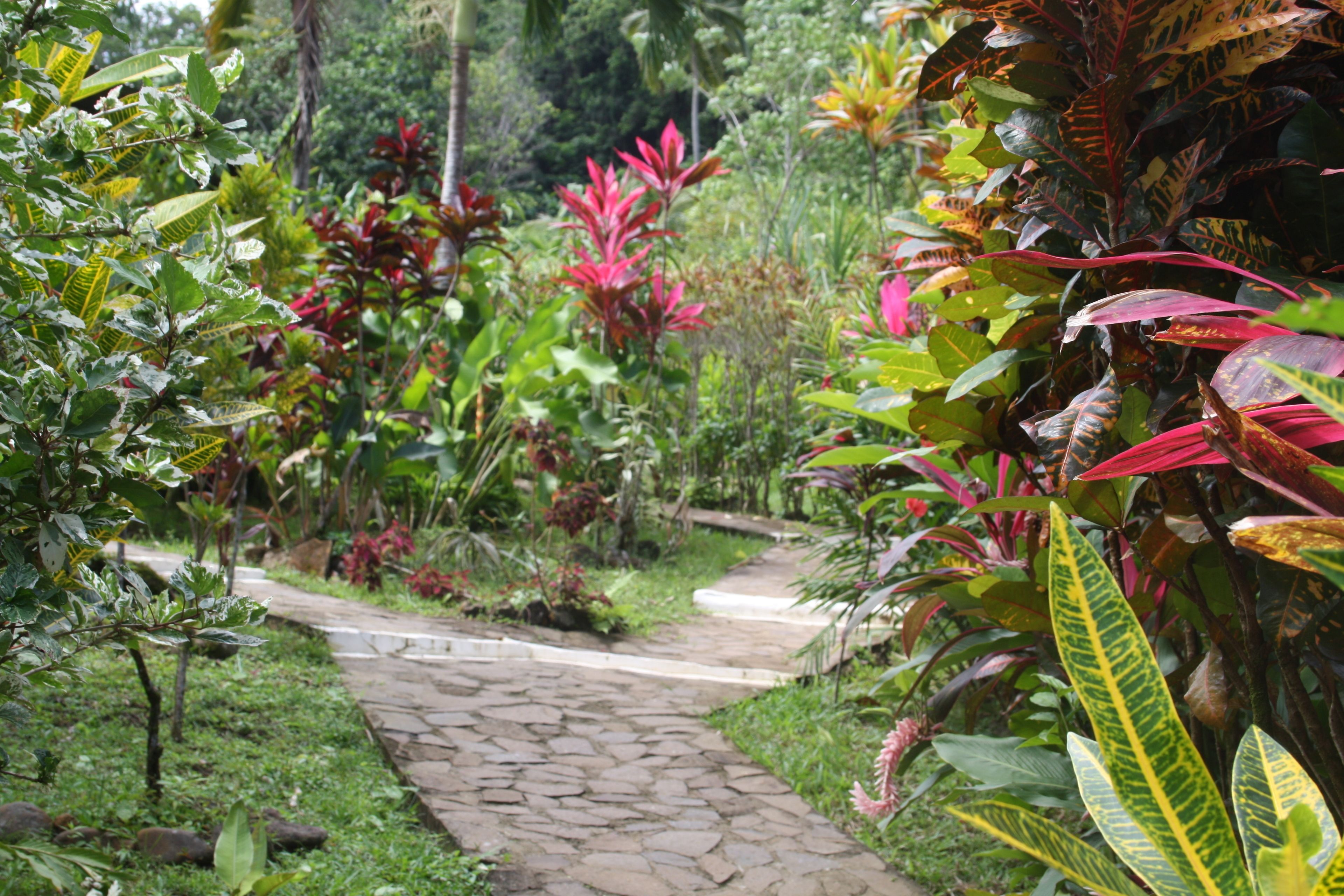 Jardin