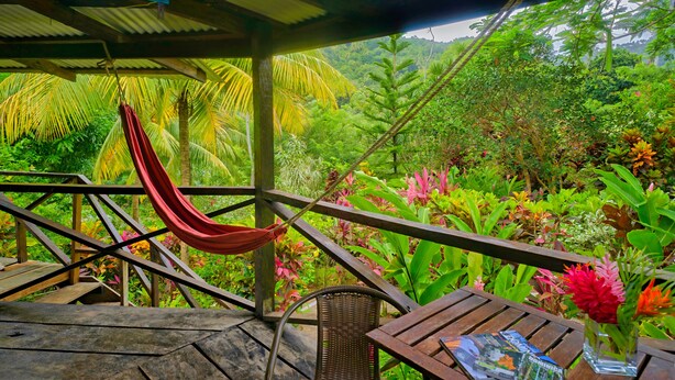 A wooden deck with a hammock, a wicker chair, and a table with a vase of flowers.