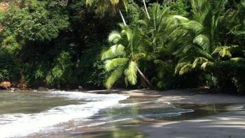 Perto da praia, serviço de traslado de/para a praia, toalhas de praia