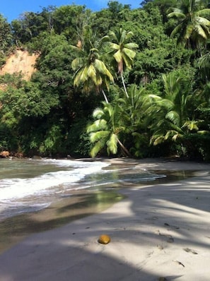 靠近海滩、海滩班车、沙滩毛巾