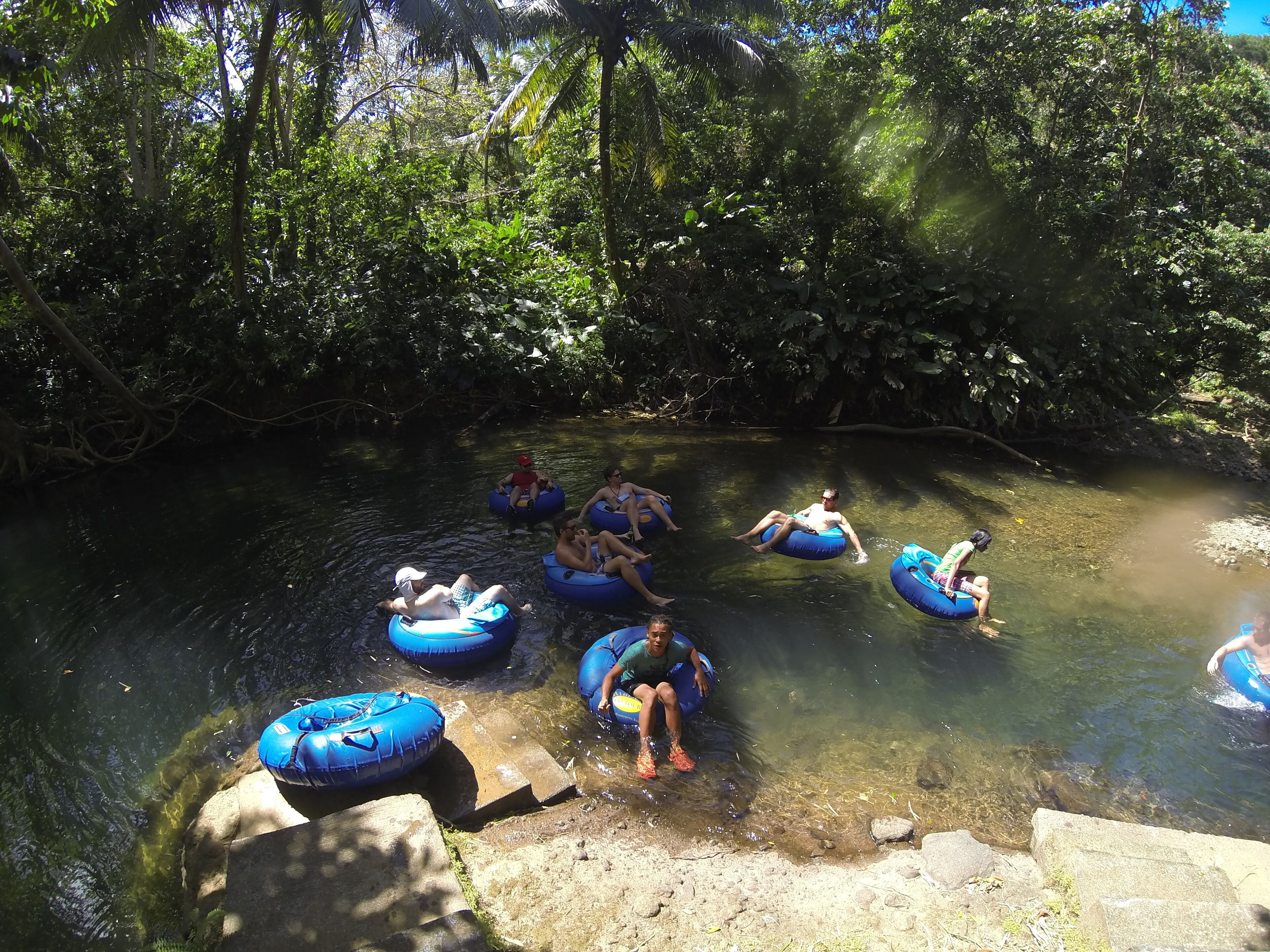 Foto - Hibiscus Valley Inn