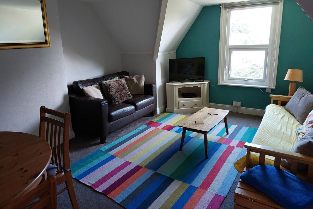 Un salón con sofá de cuero negro, televisor sobre un mueble bajo, una mesa de centro de madera, alfombra colorida a rayas y una ventana con vistas a zonas verdes.
