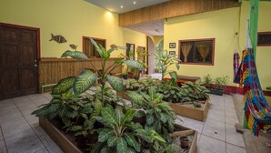 A room with wooden flooring, a large potted plant, a hammock, and a door with a red frame. - Indra Inn (Cabo Velas)