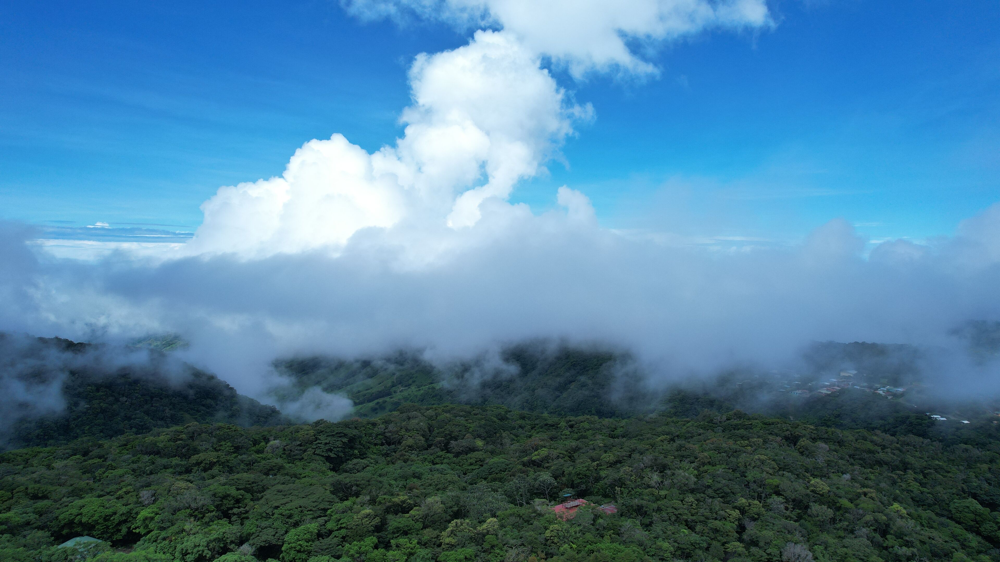 Photo - Hotel Heliconia - Monteverde