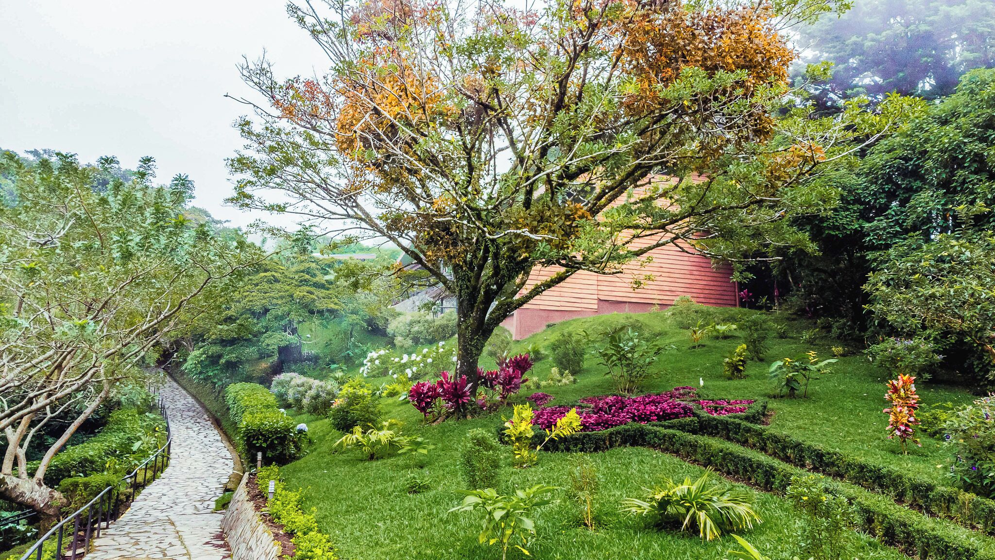 Photo - Hotel Heliconia - Monteverde