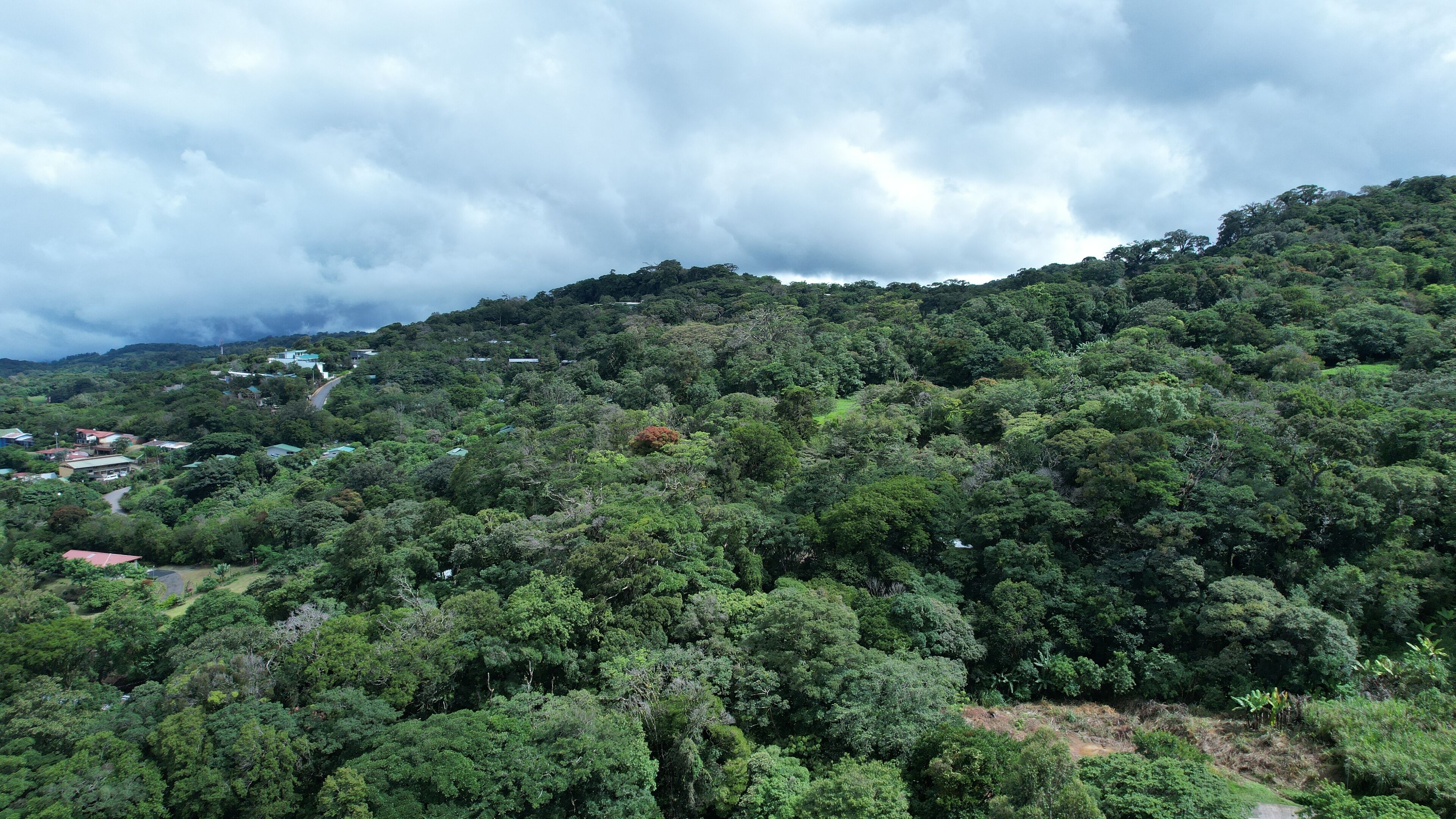 Photo - Hotel Heliconia - Monteverde
