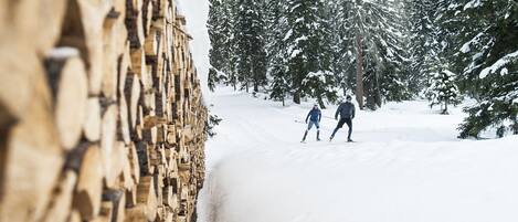 A snow-covered forest with a wooden structure on the left.