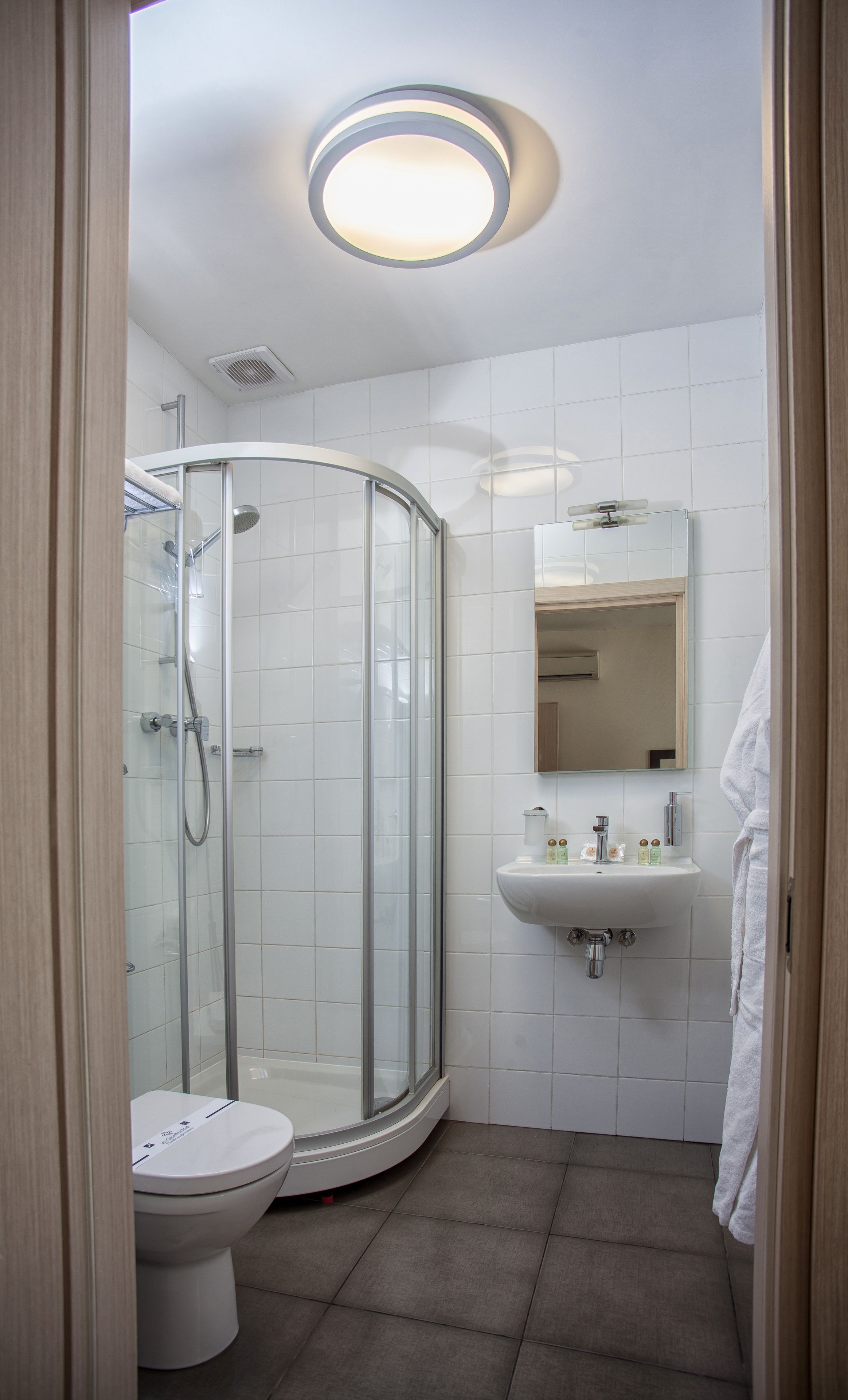 A modern bathroom with a glass shower enclosure, a white sink, and a toilet.