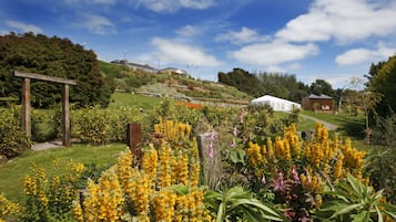 A garden with yellow flowers, a white tent, and a wooden structure.