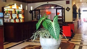 A lobby with a reception desk, a bar area with bottles, and a large potted plant. - Parent Heritage Angkor Villa (Siem Reap)