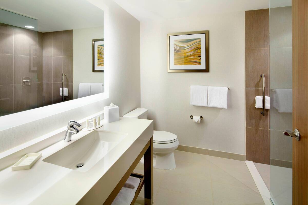 shower, free toiletries, hair dryer, towels