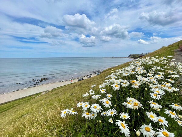 Beach nearby - Fayvan Apartments (Whitby)