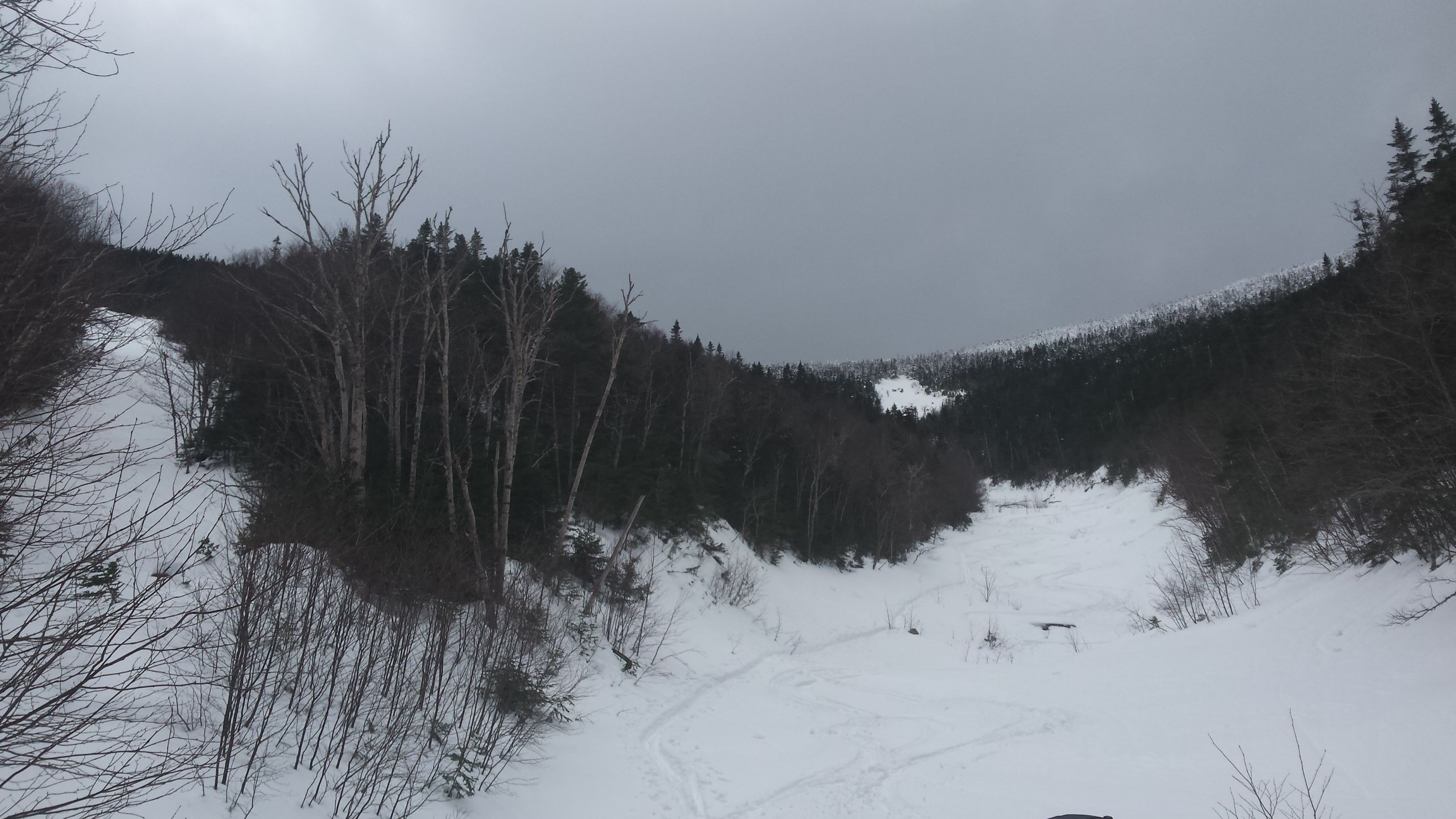 Un paisaje nevado con denso bosque y un sendero despejado.