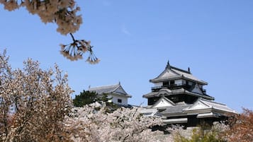 Een traditioneel Japans kasteel met meerdere verdiepingen en een opvallende centrale toren, omringd door kersenbloesems.