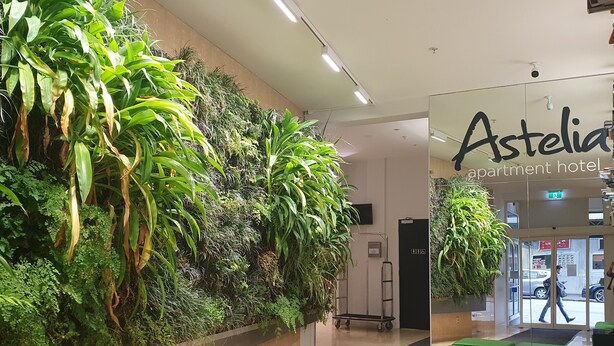 A hotel lobby with a vertical garden wall, a reception desk, and a green seating area.