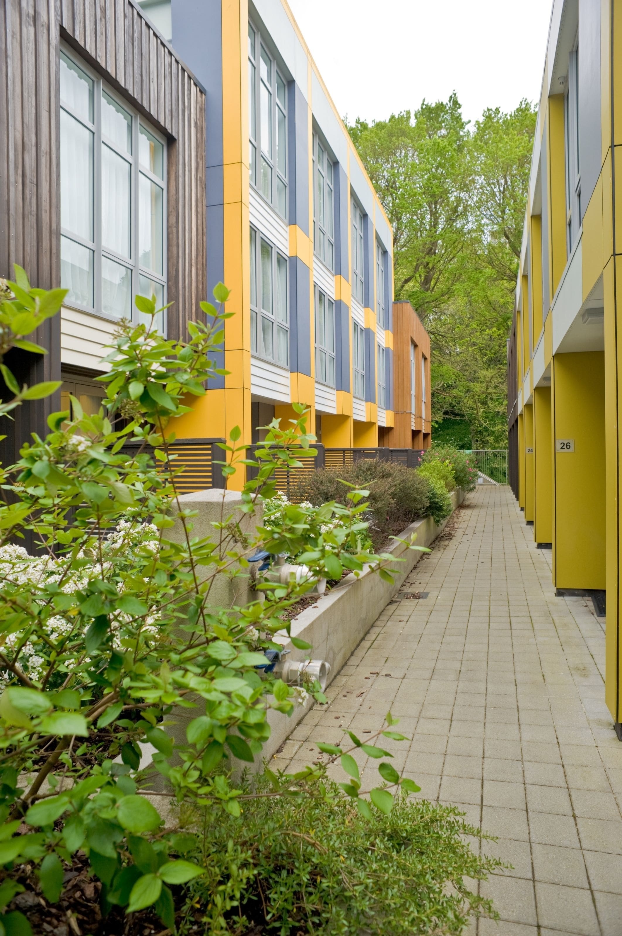 Foto - Boulcott Suites