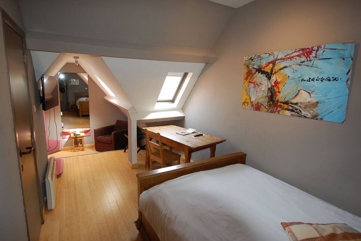 Un dormitorio con cama, escritorio, silla, televisor y tragaluz.