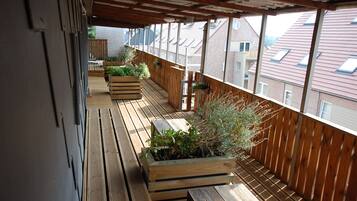 Terras