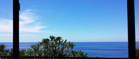 A view of the ocean through a window with a view of the sky and some foliage in the foreground.