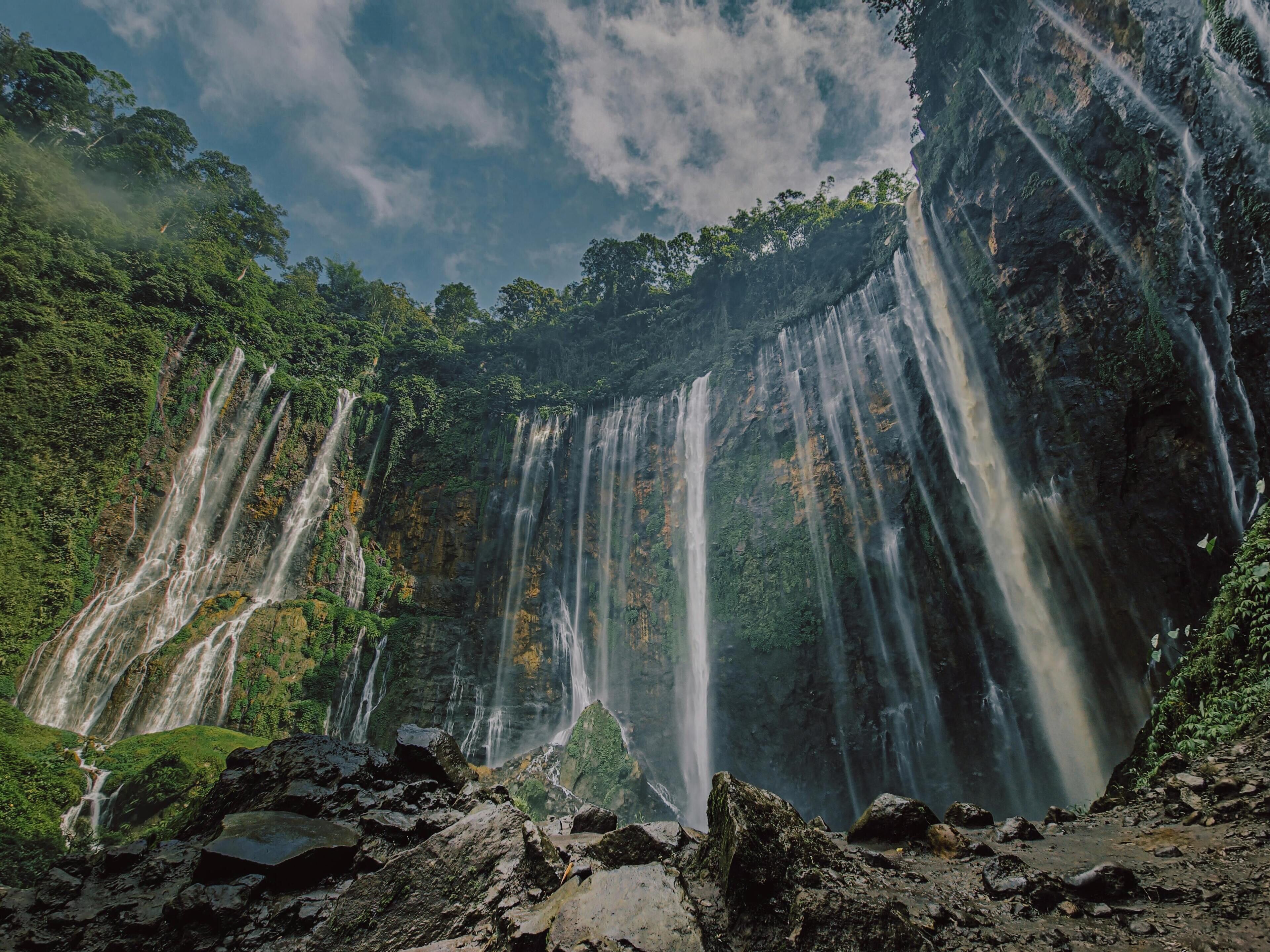 Una cascada desciende por un risco rocoso rodeado de abundante vegetación.