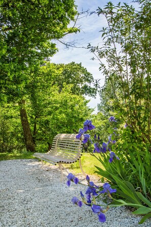 Un banc dans un jardin, avec un chemin de gravier et des fleurs violettes.