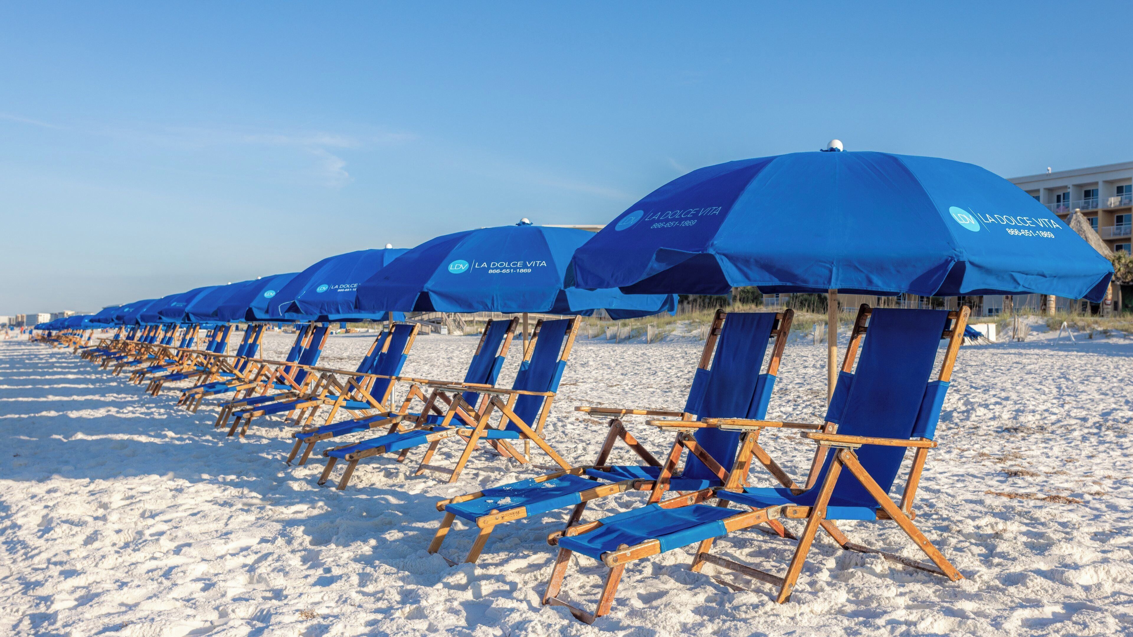 A row of beach chairs and umbrellas on a sandy beach.