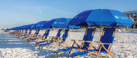 A row of beach chairs and umbrellas on a sandy beach.