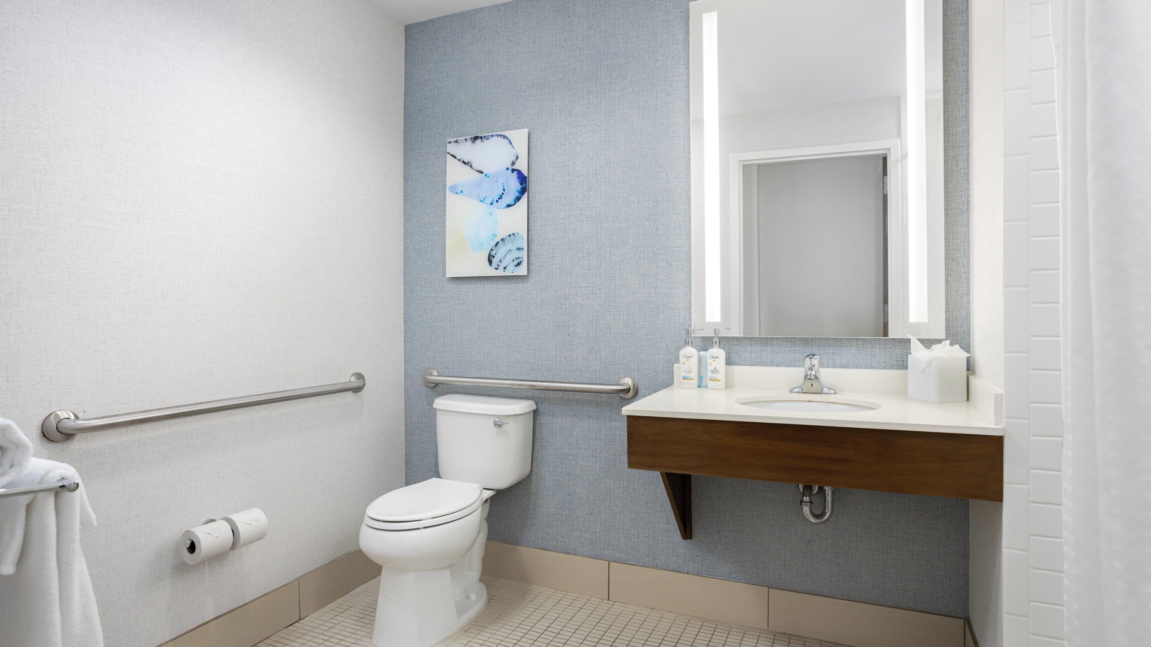 Une salle de bain équipée de toilettes, de barres d’appui, d’un lavabo et d’un miroir.